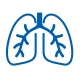 Lungs Lungs