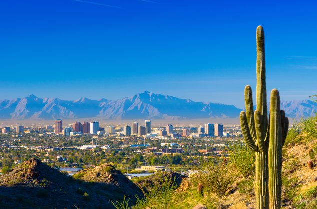 Phoenix skyline and cactus Phoenix midtown skyline with a Saguaro Cactus and other desert scenery in the foreground