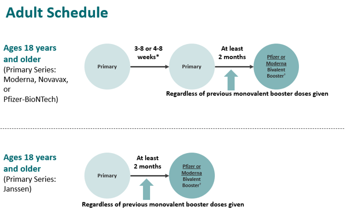 Chart showing Novavax adult scheduling