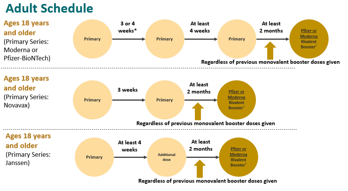 Chart showing Novavax adult scheduling