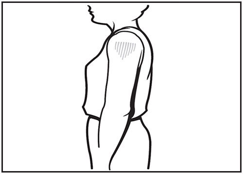 admin-fig-3.jpg This line drawing is a side view of an adult. The deltoid muscle of the arm is shaded, showing the proper site for intramuscular vaccine administration.