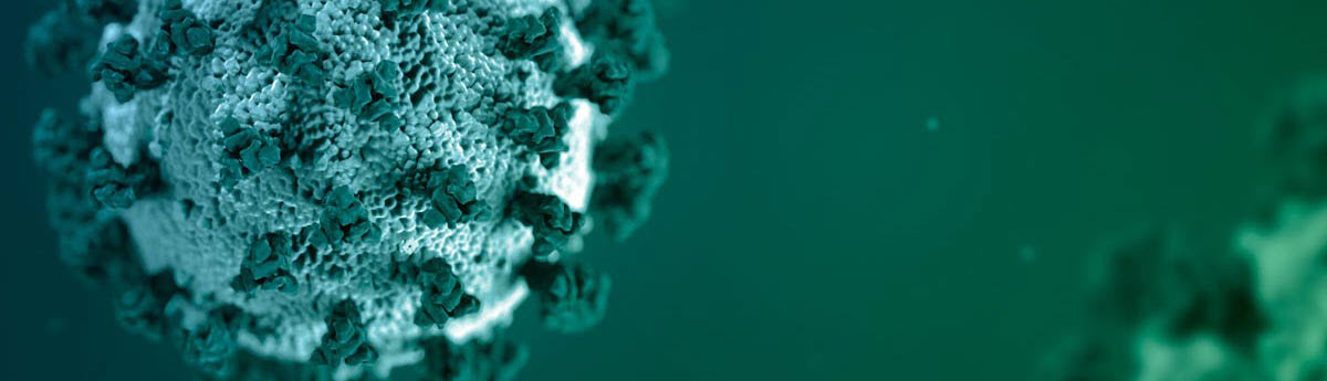 Illustration of the COVID-19 virus