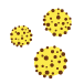 Hepatitis B illustration