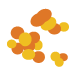 Meningococcal illustration