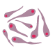 Tetanus illustration
