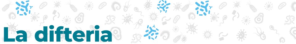 disease_banners_Diphtheria_960_144-sp La difteria