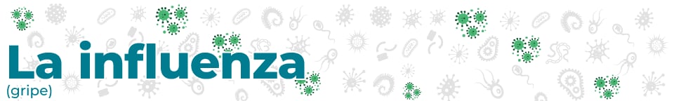 disease_banners_Flu_960_144 Influenza