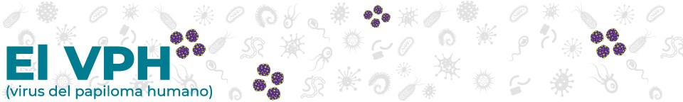 disease_banners_HPV_960_144-sp El VPH
