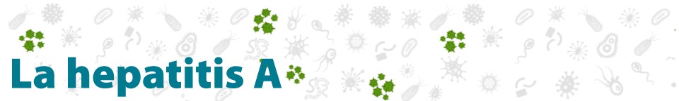La hepatitis A