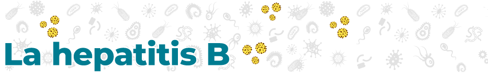 disease_banners_HepB_960_144-sp La hepatitis B