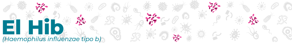 disease_banners_Hib_960_144-sp El Hib