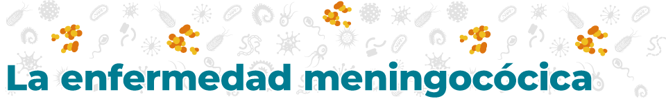 disease_banners_Men_960_144-sp La enfermedad meningocócica