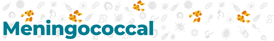 disease_banners_Men_960_144 Meningococcal