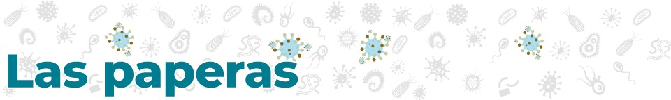 disease_banners_Mumps_960_144-sp Las paperas