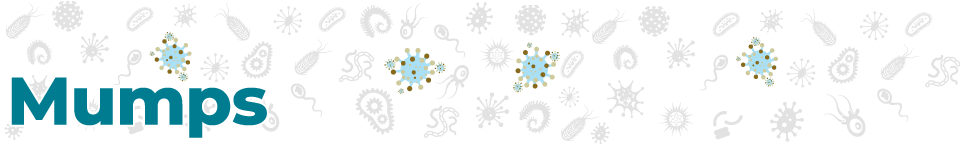 Mumps