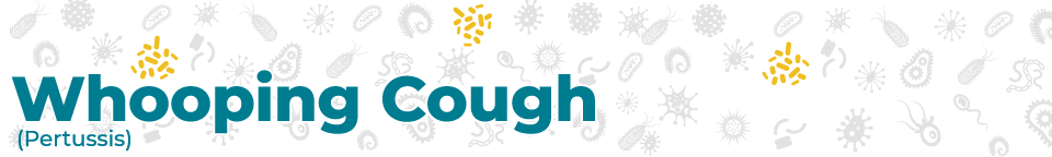 Pertussis