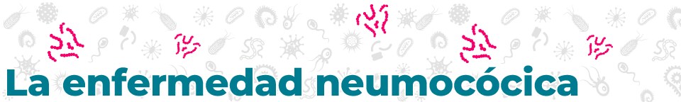 disease_banners_Pneum_960_144-sp Las enfermedades neumocócicas