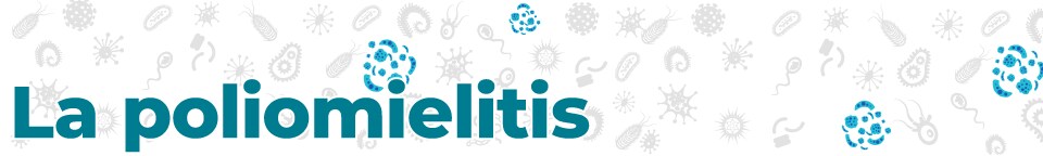 disease_banners_Polio_960_144-sp La poliomielitis