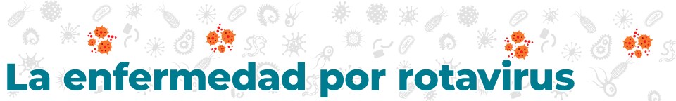 disease_banners_Roto_960_144-sp La enfermedad por rotavirus