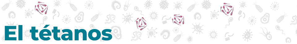 disease_banners_Tet_960_144-sp El tétanos