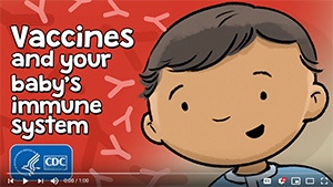 Vaccines and your baby's immune system.