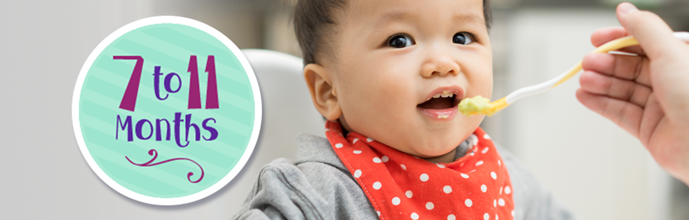 7-11-months.png Vaccines for infants at seven to eleven months