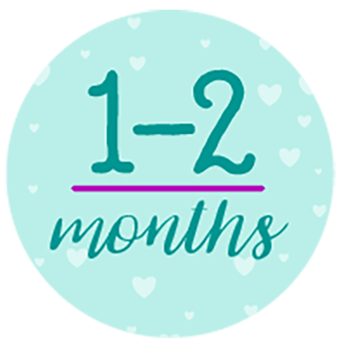 1-2 months