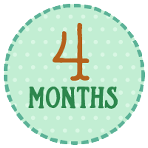 4 Months