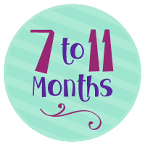 7 to 11 Months