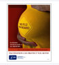 Flyer: No Flu On Board