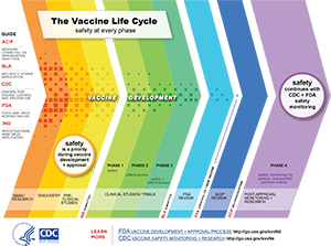 Vaccine-Safety-Process-Thumb Vaccine Safety Process