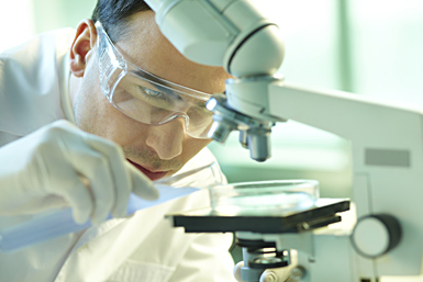 ensuring-main scientist working with microscope and specimen