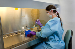 Woman working in a laboratory