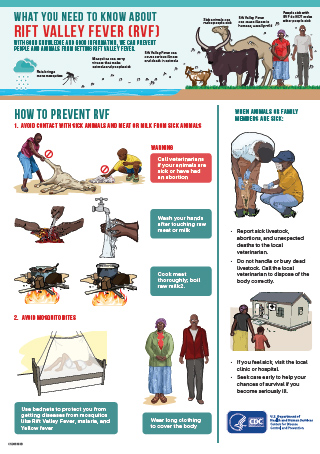 RVF Information poster