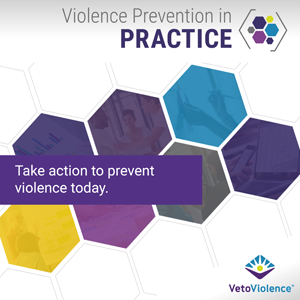 Violence Prevention in Practice