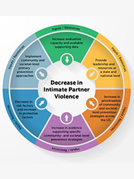 DELTA-Impact195x260 DELTA Impact