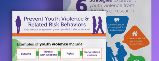 Prevent Youth Violence and Related Risk Behaviors Prevent Youth Violence and Related Risk Behaviors