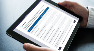 Dating Matters Capacity Assessment Tool