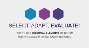 Select, Adapt, Evaluate!