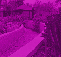 YVPC-Branding YVPC Accomplishments garden