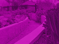 Accomplishments YVPC Accomplishments