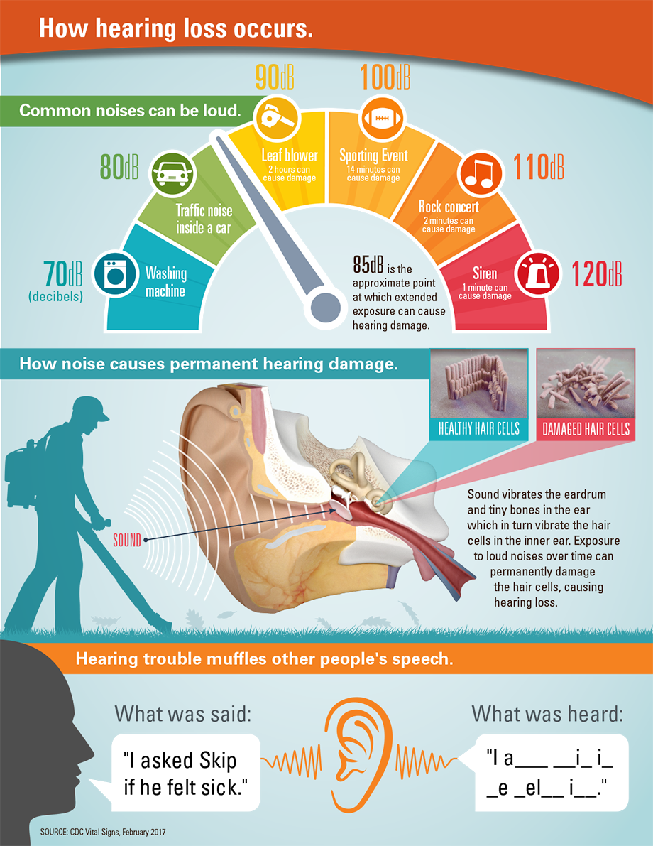 graphic-b_920px.jpg Graphic: How hearing loss occurs.