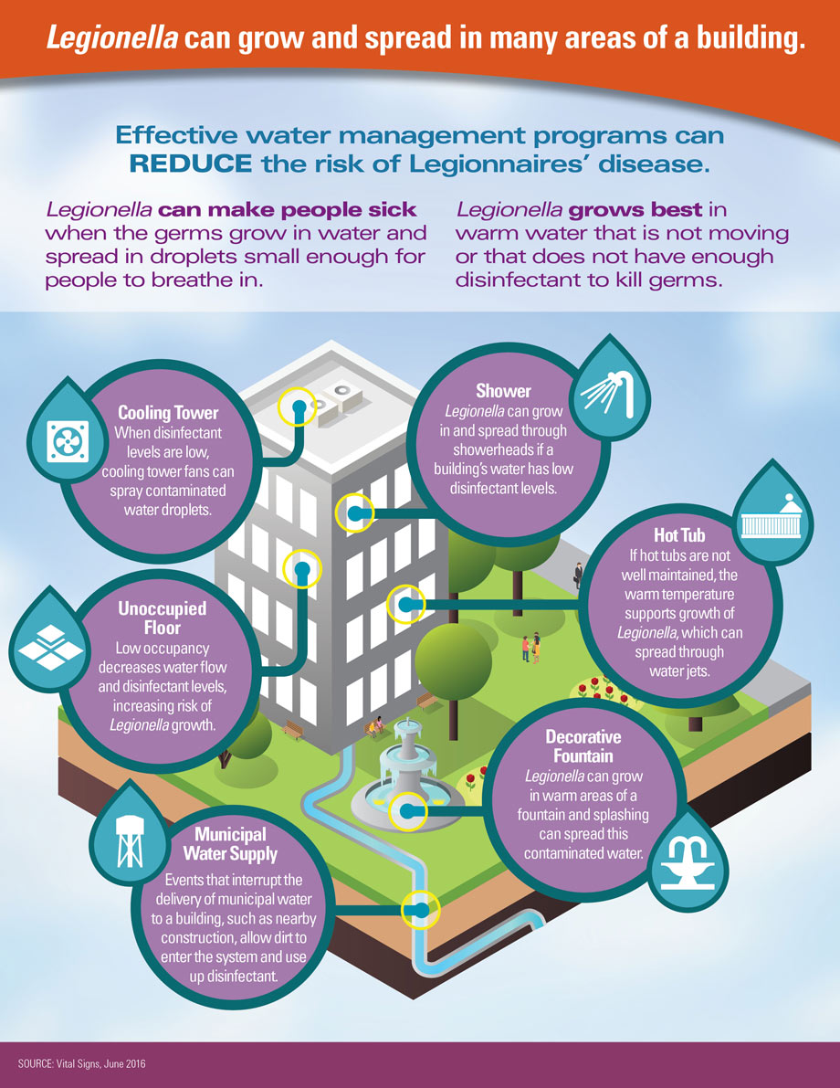 graphic-b_920px.jpg Graphic: Legionella can grow and spread in many parts of a building