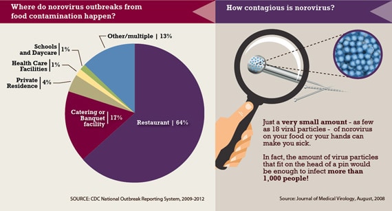graphic_570px.jpg Most norovirus outbreaks from contaminated food occur in food service settings like restaurants. Just a very small amount of norovirus on your food or your hands can make you sick. The amount of virus particles that fit on the head of a pin would be enough to infect more than 1,000 people.