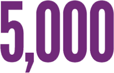 factoid2-rabies Factoid: About 5,000 animals— mostly wildlife— test positive for rabies each year in the US.