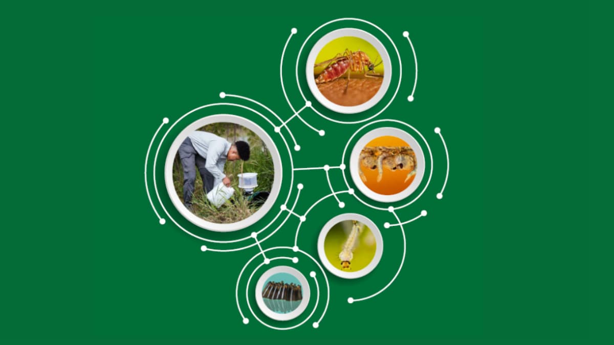 — title missing — Cover for WNV Surveillance and Control Guidelines