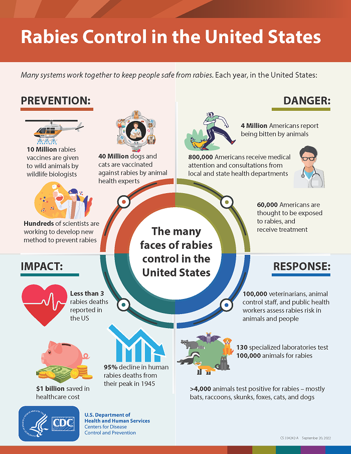 Rabies Control infographic