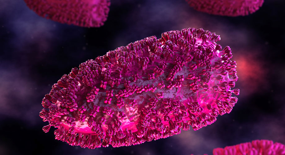 Image of rabies cell