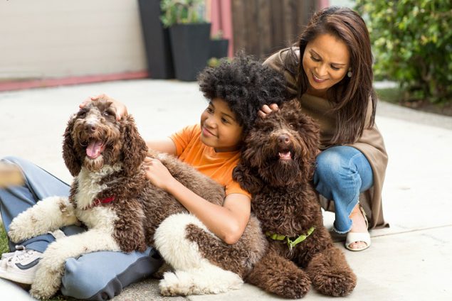 Mother and her son laughing and playing with their dogs.