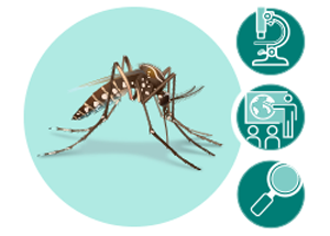 http://www.cy118119.com/zika/about/needtoknow.html